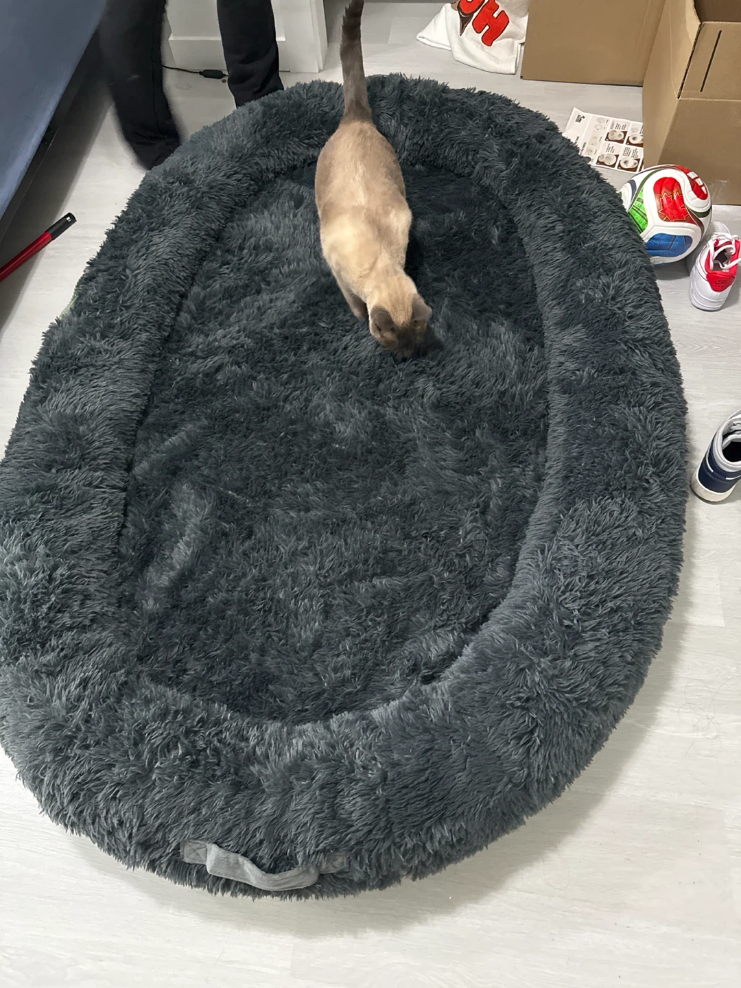 Human dog bed - photo 2