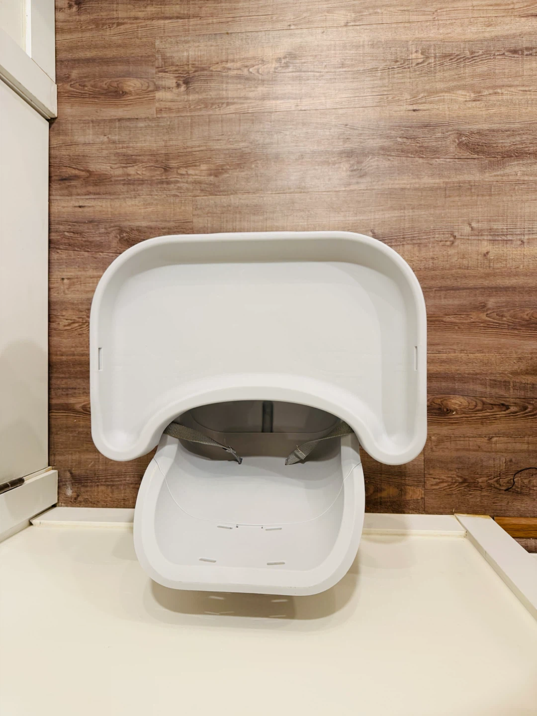 Fisher-Price Booster Seat - photo 3