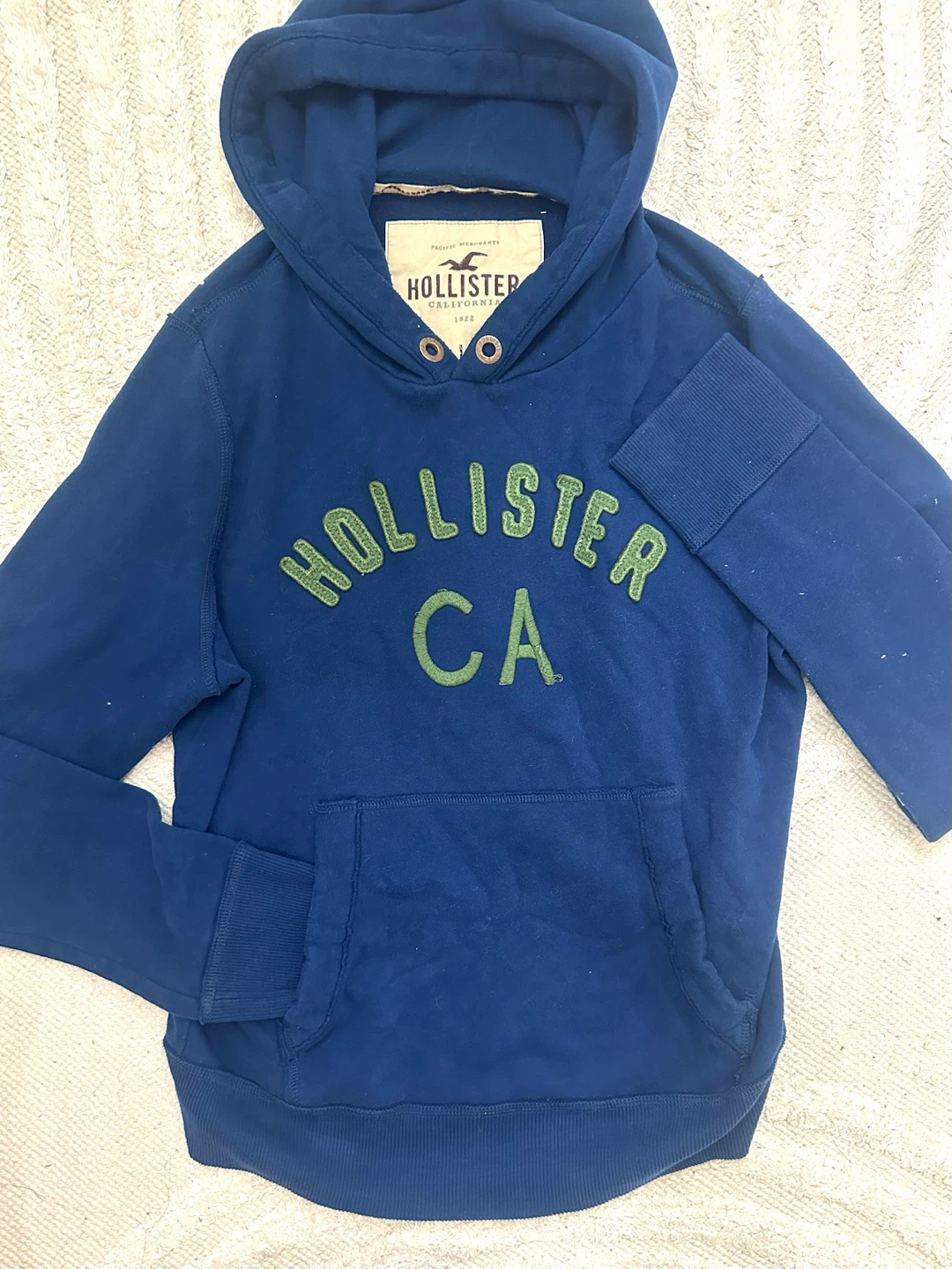 Mens Hollister Hoodie