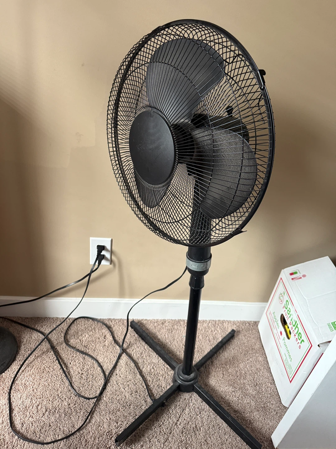 Black Standing Fan