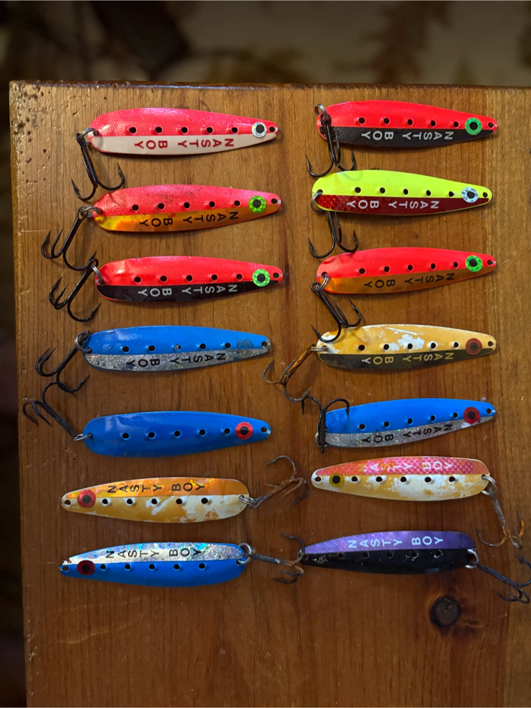 Nasty Boy Fishing Lures