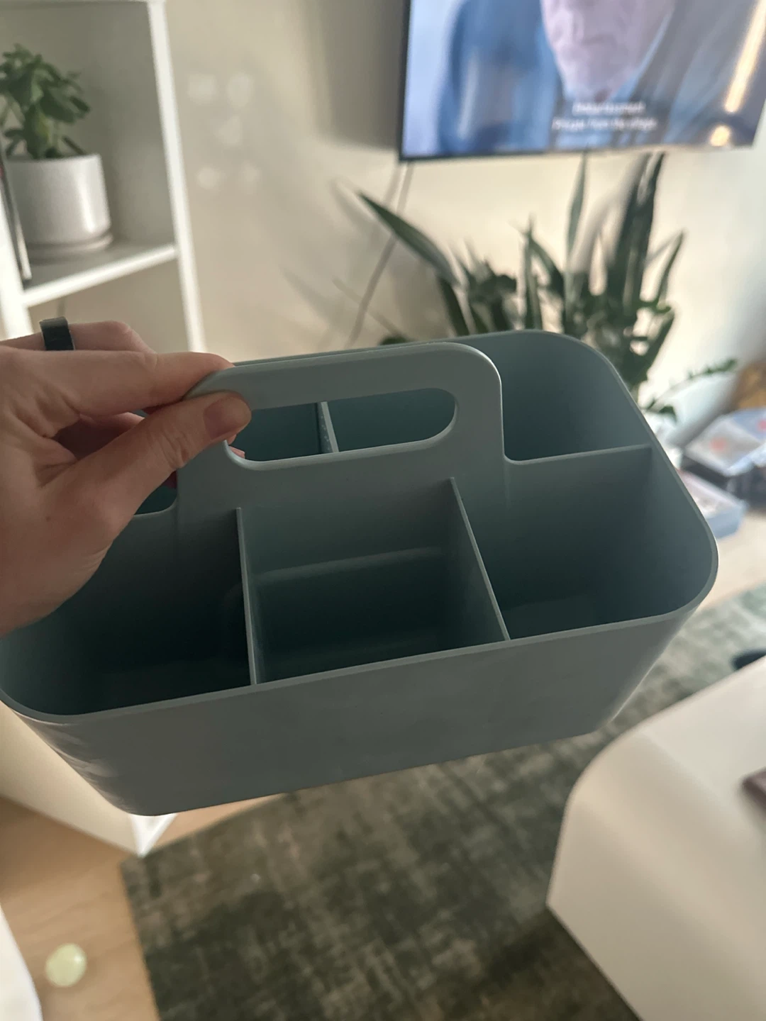 Light Blue Plastic Caddy Organizer