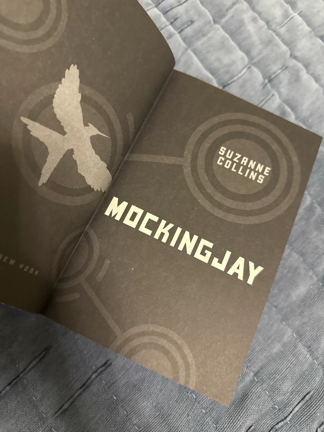 Lot of books, like Divergent, Mockingjay, Illegal - photo 3