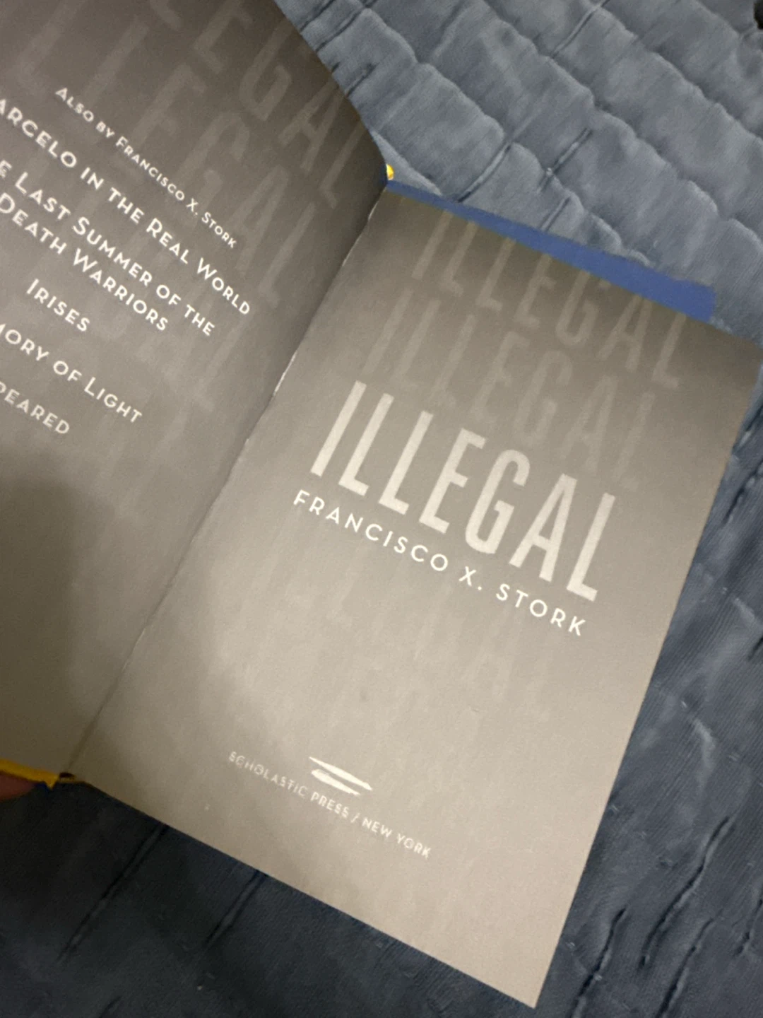 Lot of books, like Divergent, Mockingjay, Illegal - photo 4