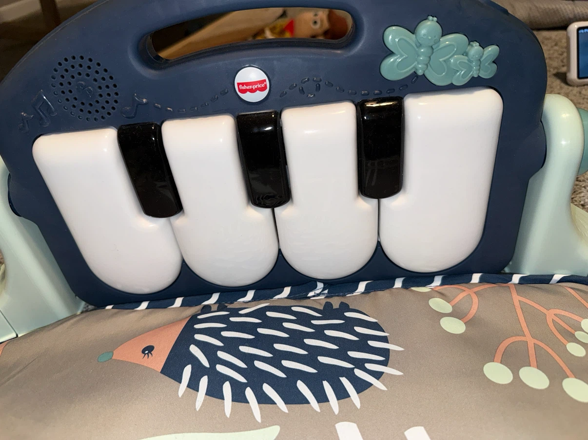 Fisher-Price Play & Grow Musical Activity Gym