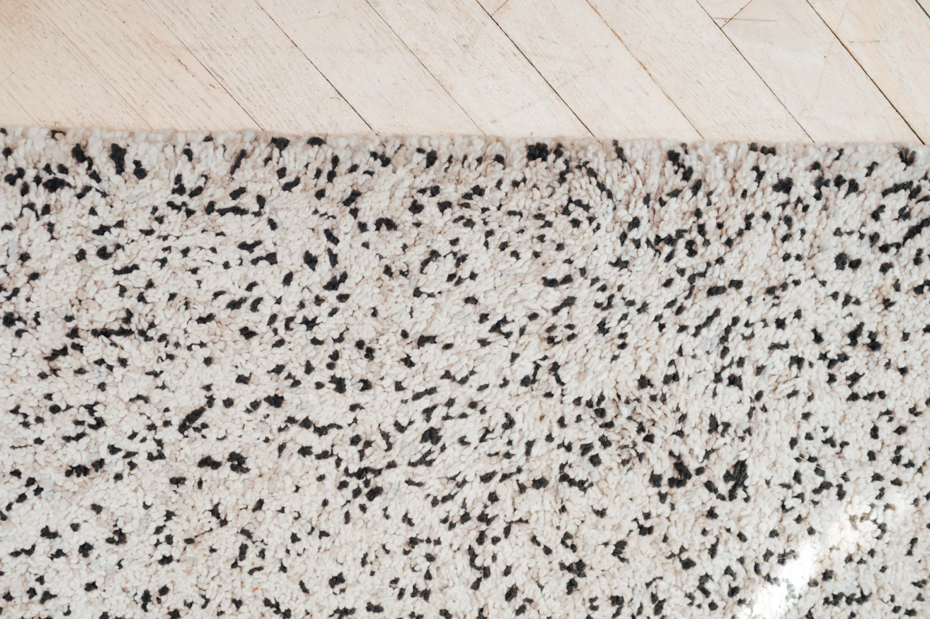 Oversized Ivory Speckled Shag Area Rug - photo 4