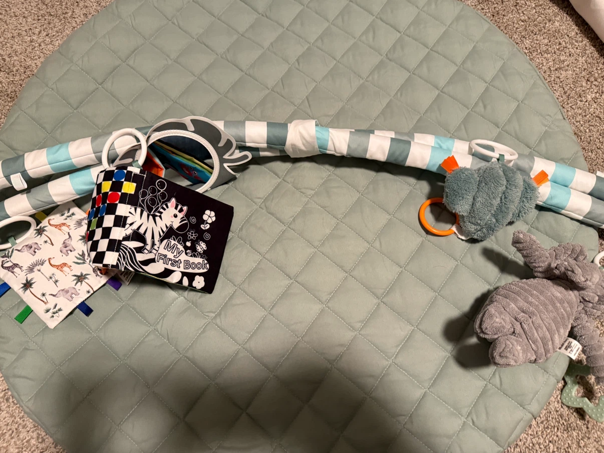 Baby Play Gym with Mat and Toys