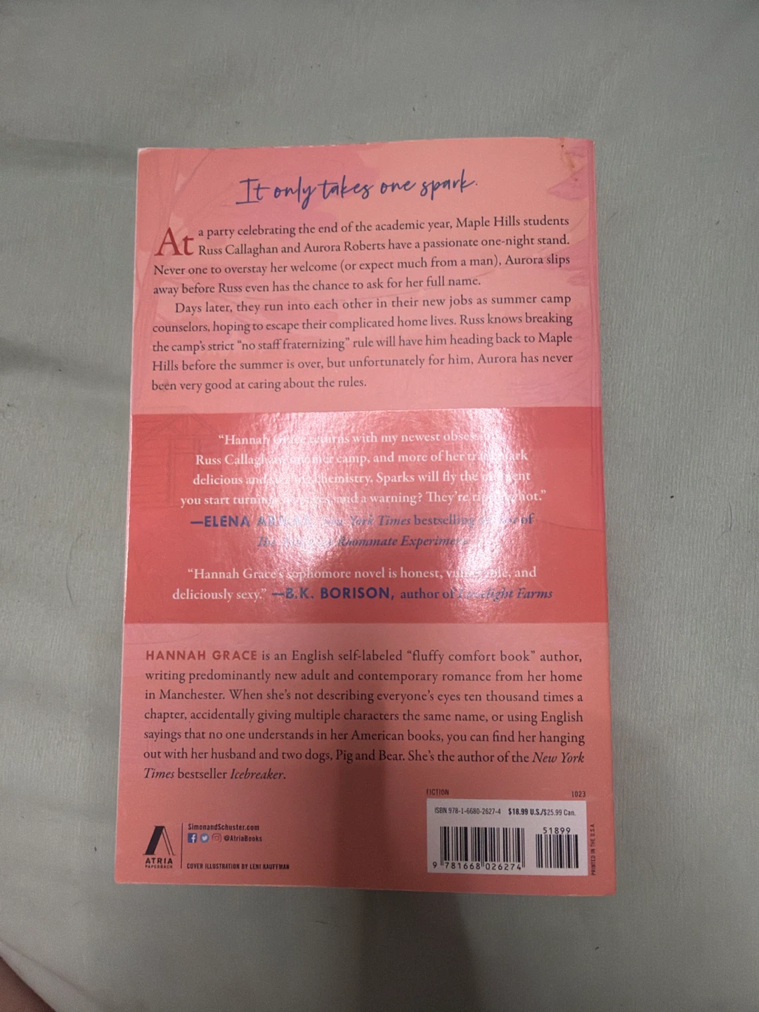 Wildfire by Hannah Grace Novel - photo 2