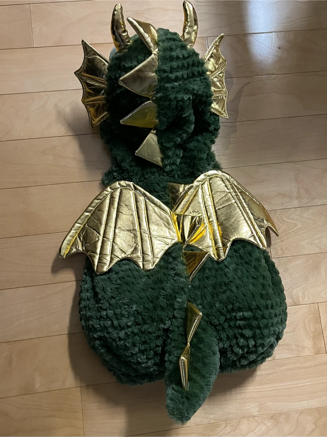 6-9 mo Magic Dragon Costume - photo 2