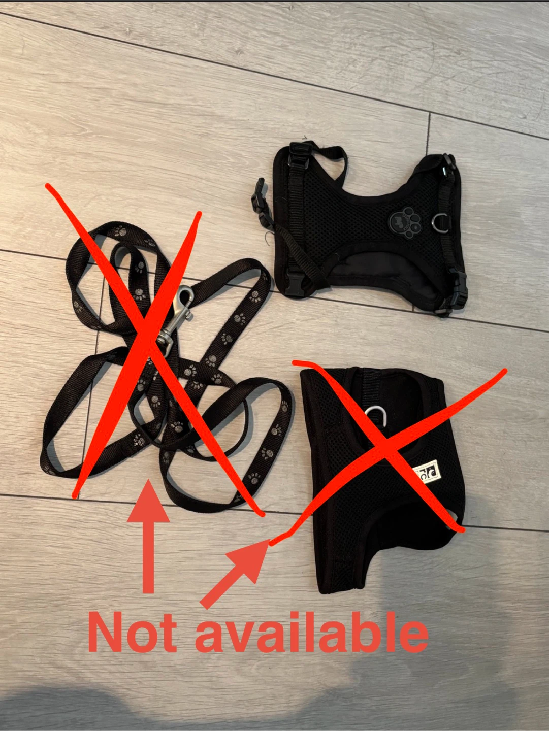 Puppy Harnesses and Leash - photo 2