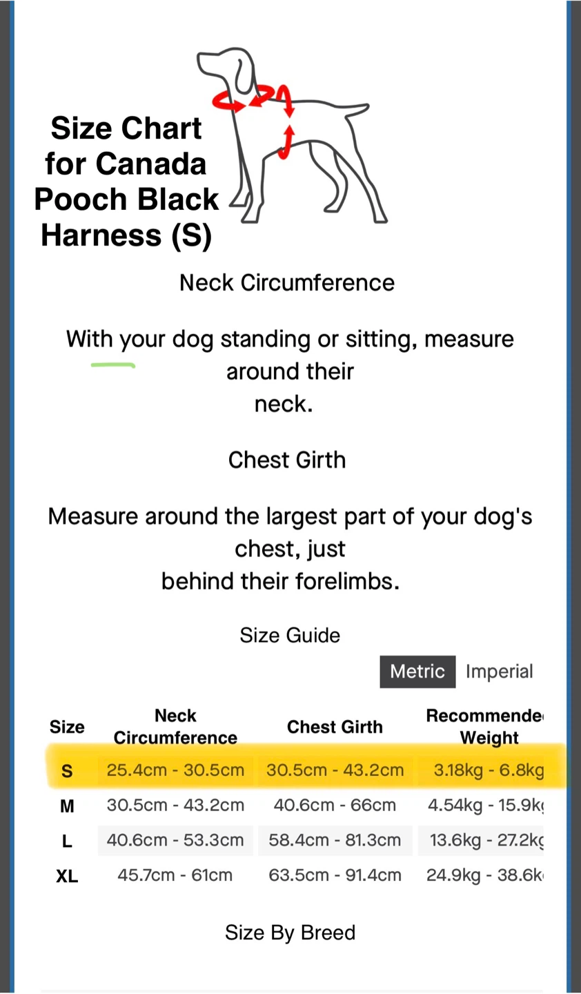 Puppy Harnesses and Leash - photo 3