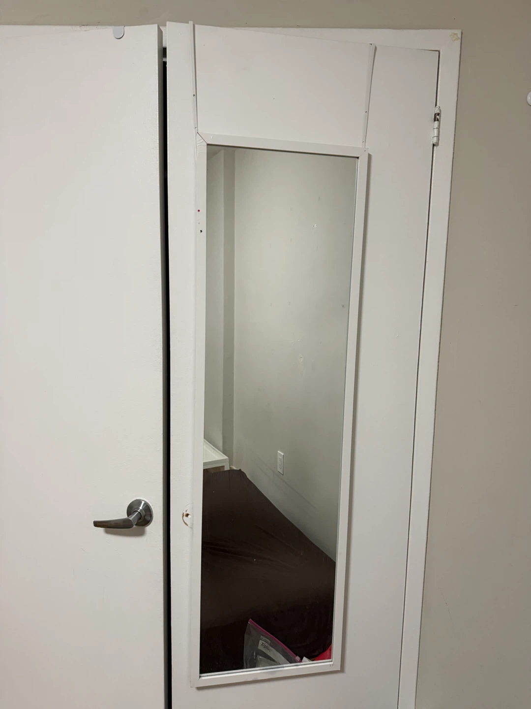 Full Length Mirror Door Insert