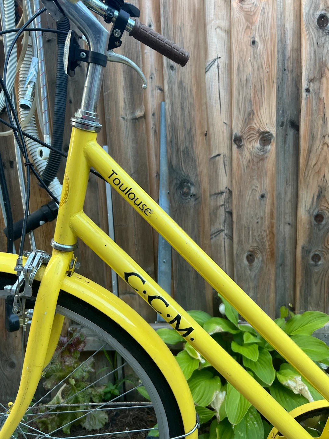 Yellow CCM Toulouse Cruiser Bicycle - photo 4