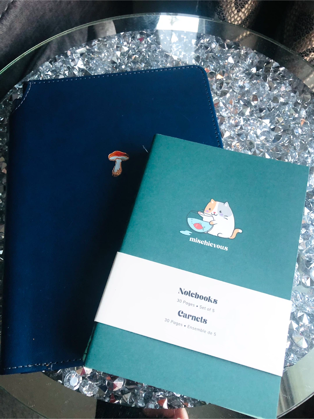 NEW Nota Blue Notebook From indigo & Set of 4 Lined Notebooks - photo 5