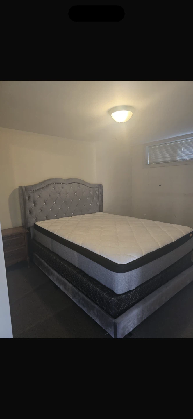 Grey Velvet Tufted Queen Bed Frame with Mattress