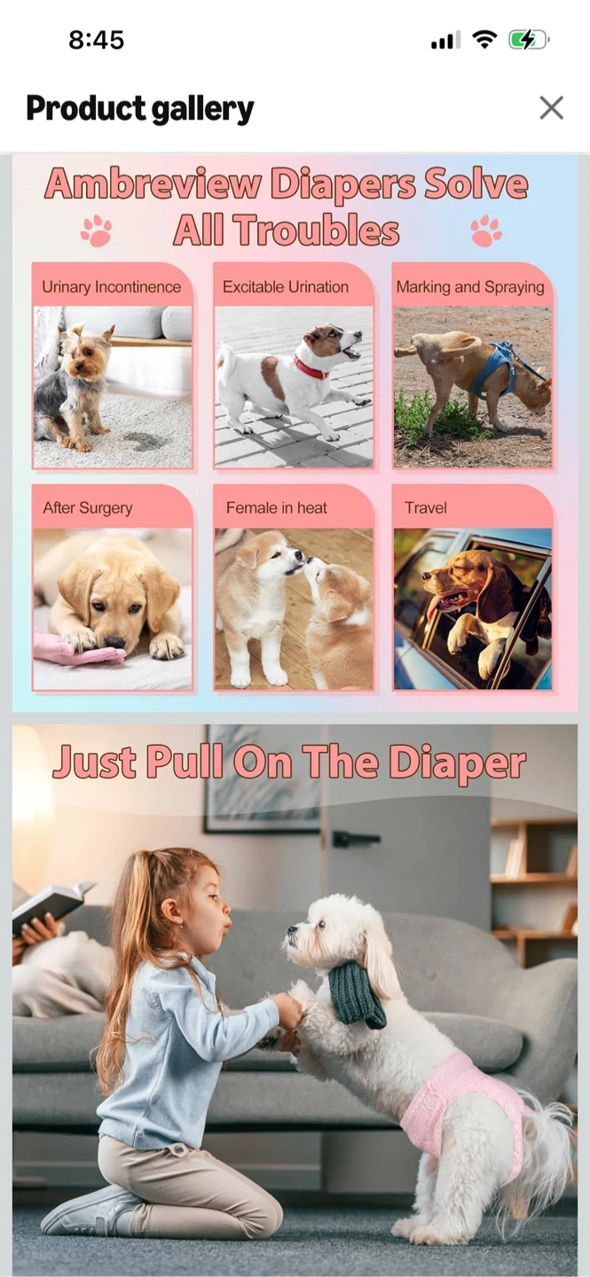 New-Ambreview Disposable Dog Female Diapers - Pink