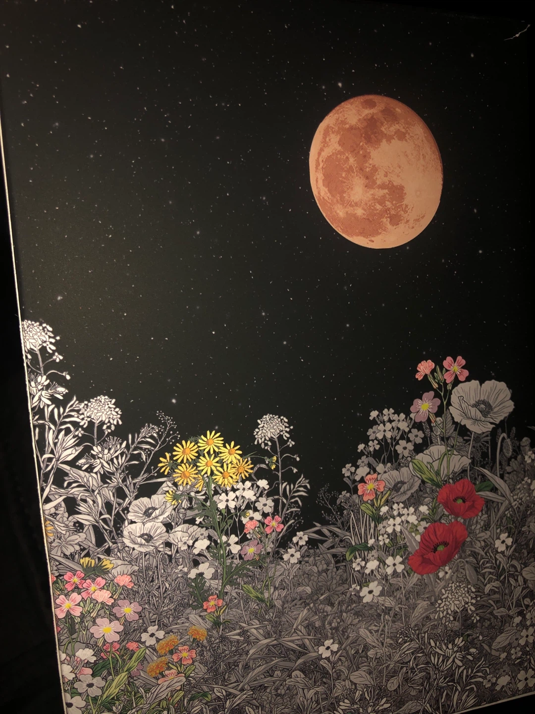 The Twilight Saga: Deluxe Collection by Stephenie Meyer - photo 5