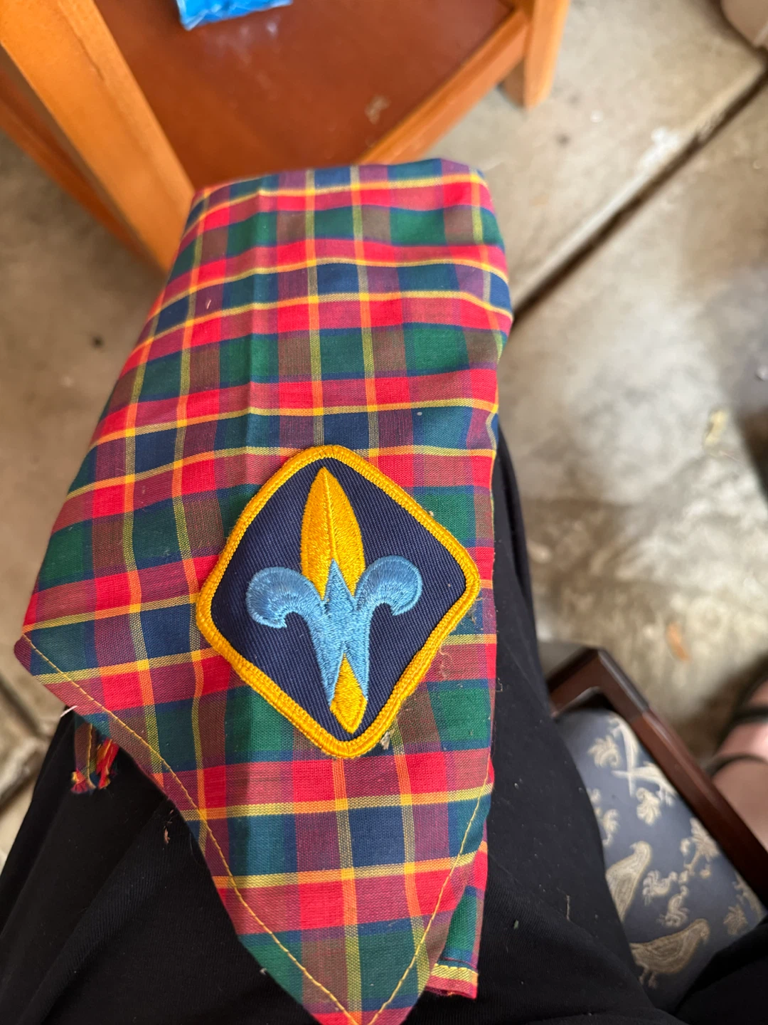 Boy Scout Webelos Scarf