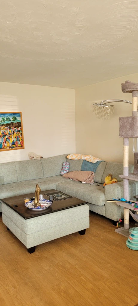 Sectional couch