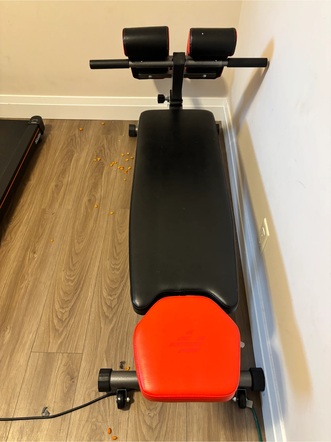 Adjustable Sit-Up Bench