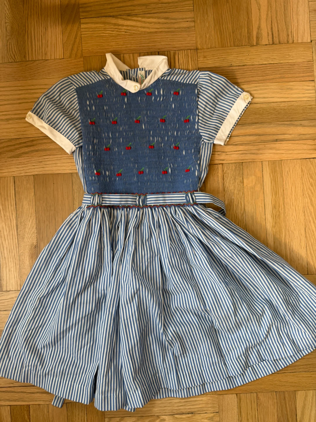 Blue Stripe Dress with Red Cherry and Flower Embroidery