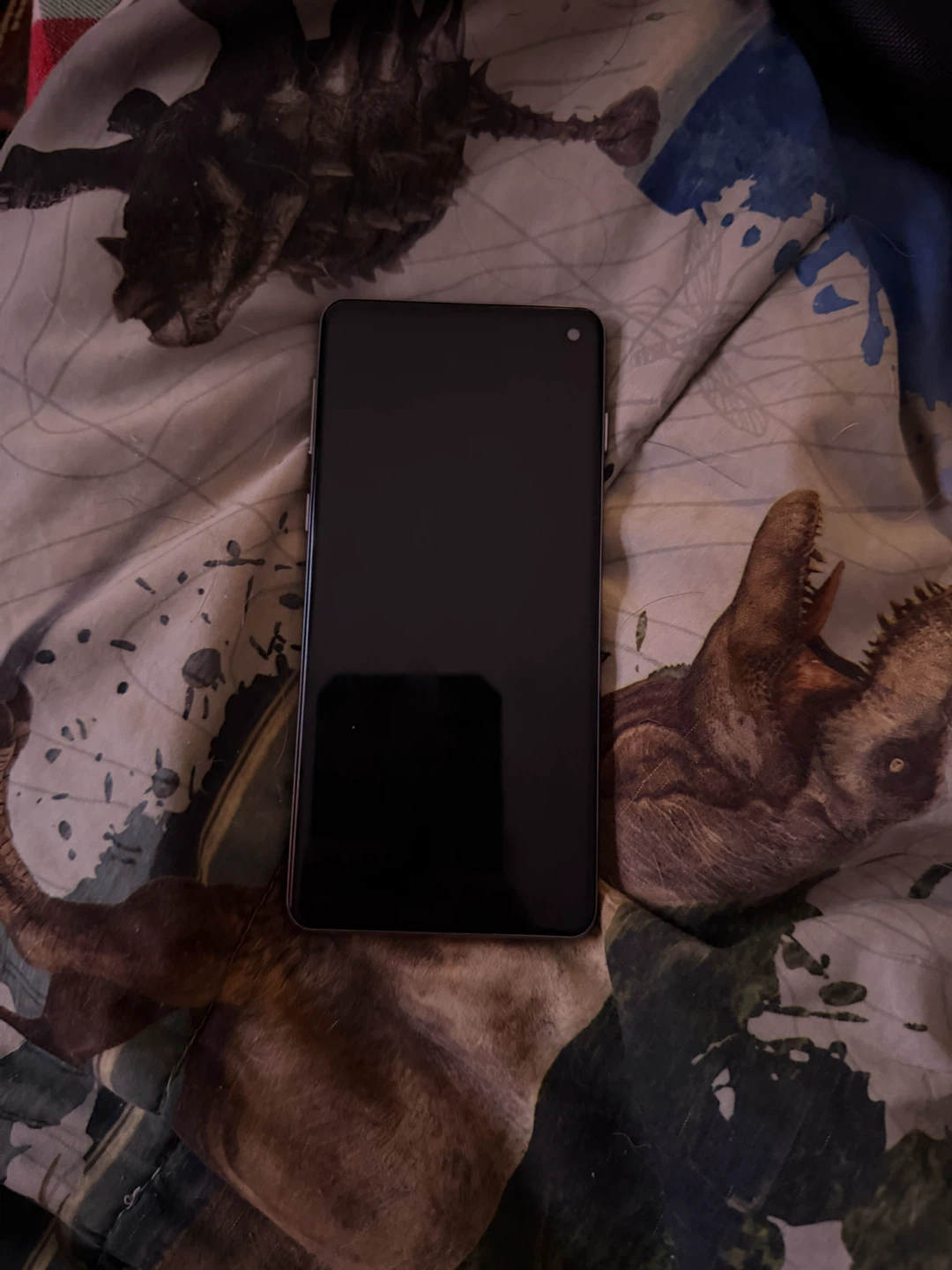 Samsung Galaxy S10