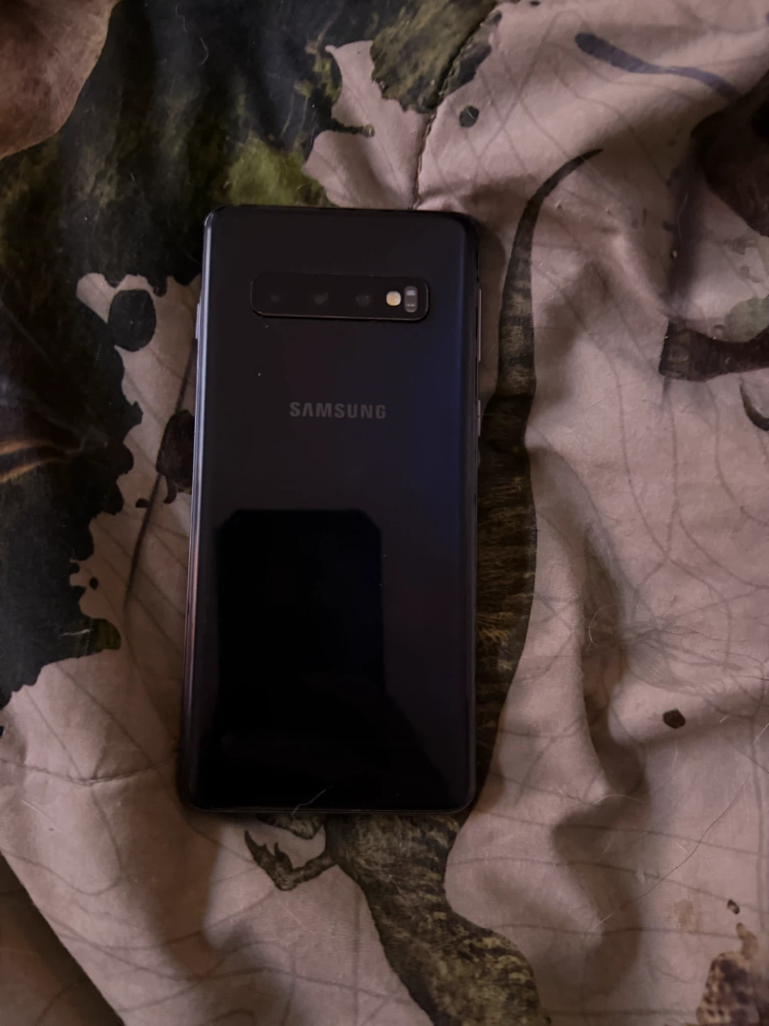 Samsung Galaxy S10 - photo 2