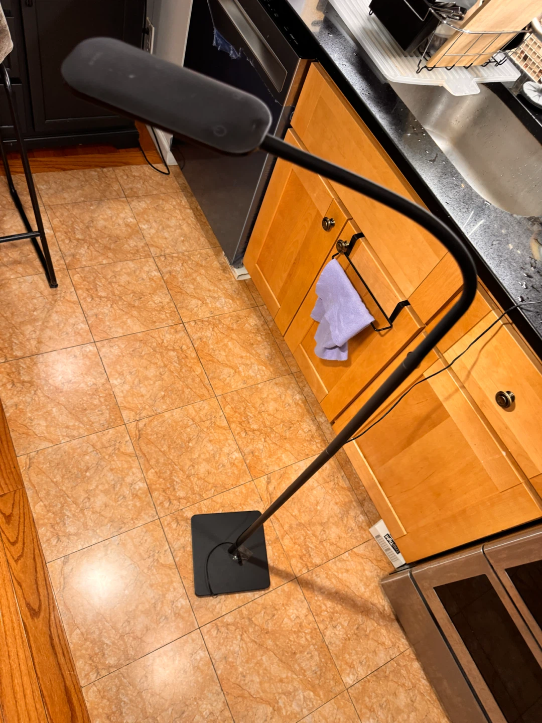 Black Arc Floor Lamp