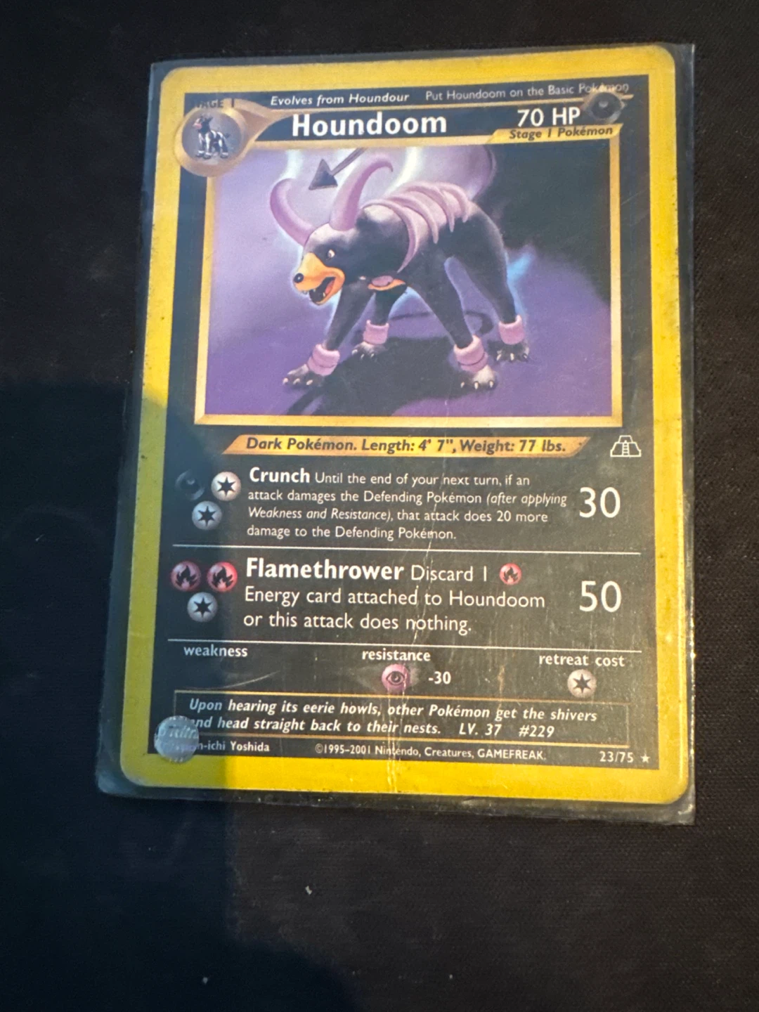 Houndoom Stage 1 Pokémon Card 23/75