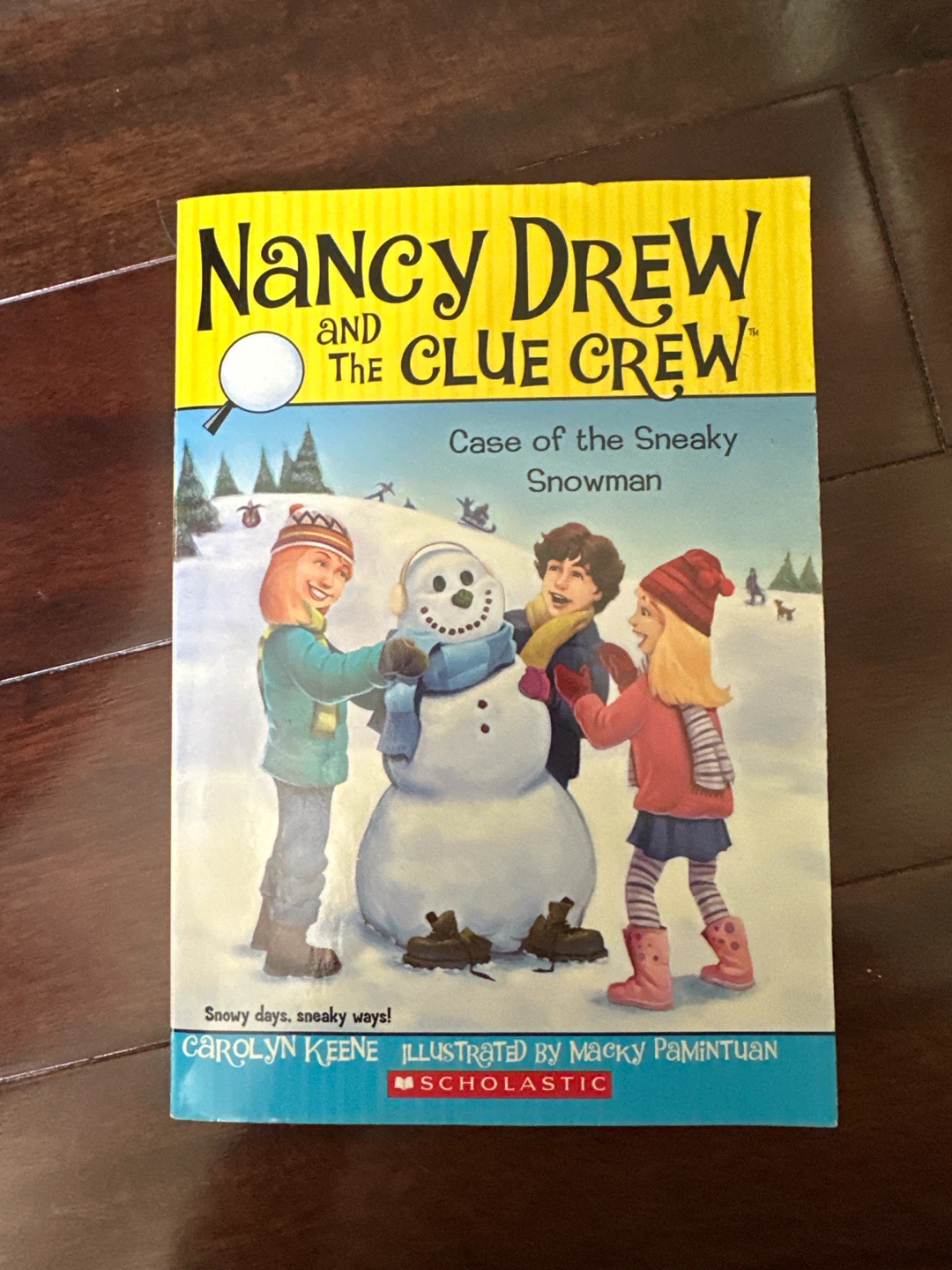Nancy Drew and the Clue Crew Books - photo 5