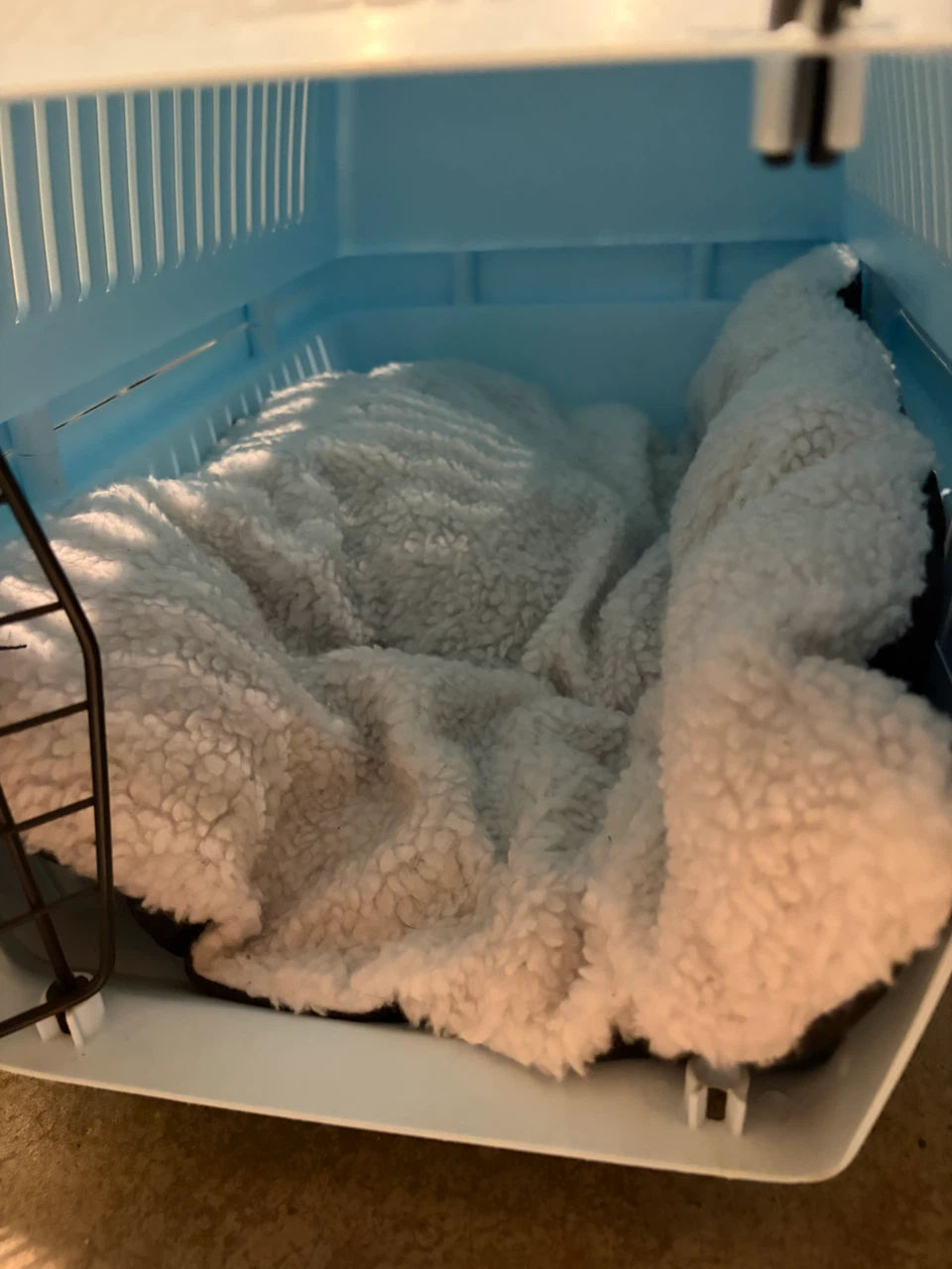 Pet Voyageur 200 Pet Carrier