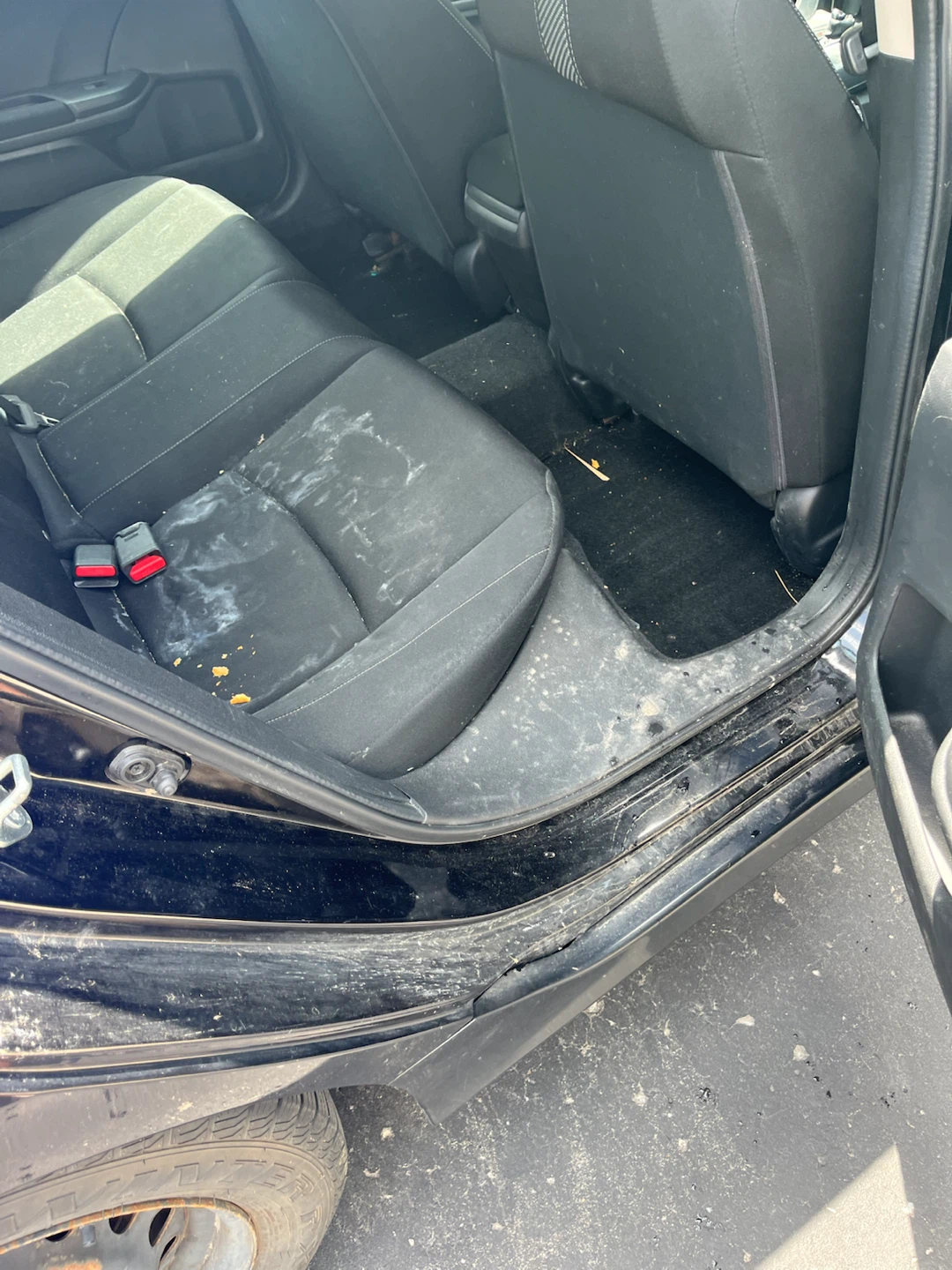 Mobile Vehicle Detailing Services - photo 2