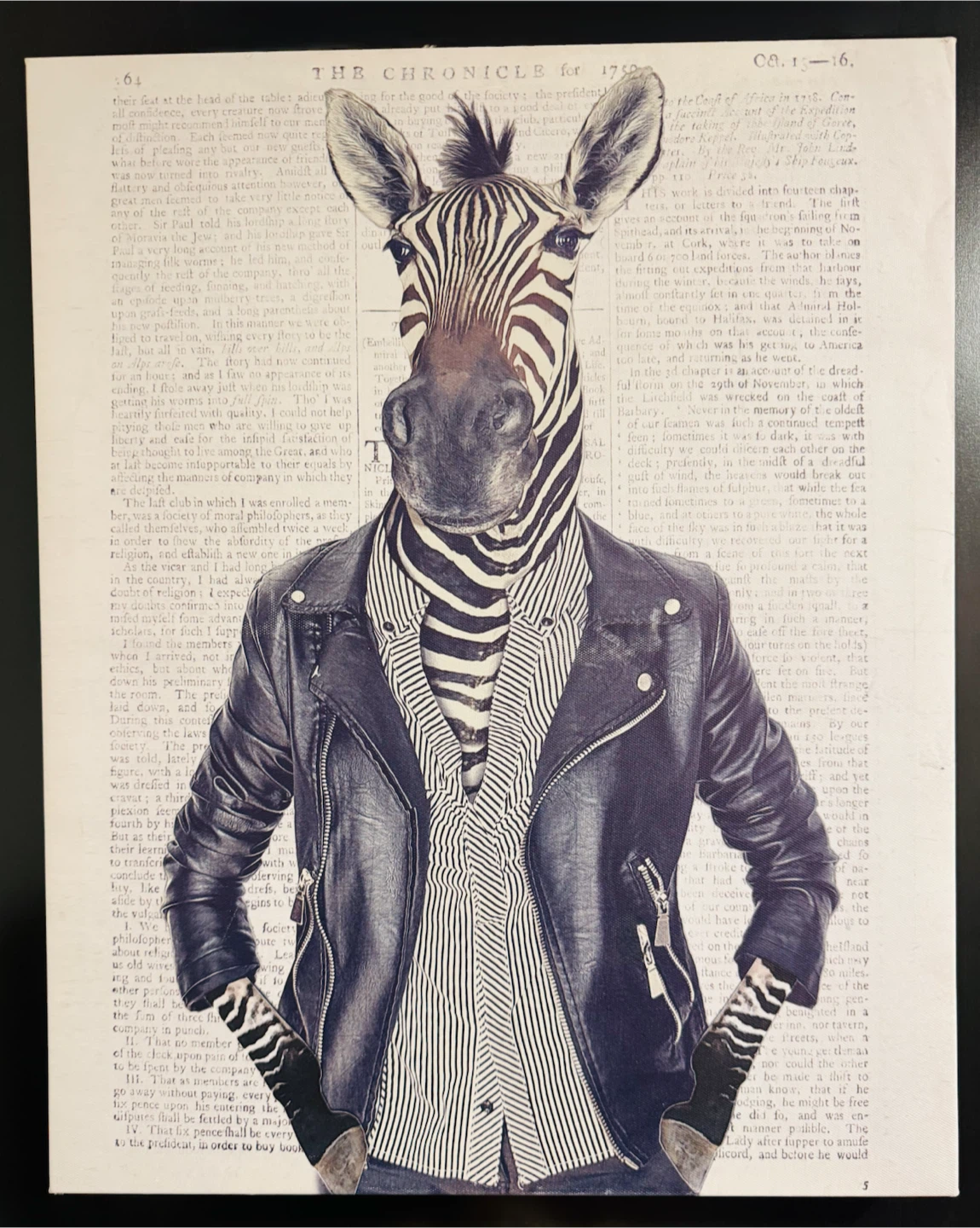 Wall Art Canvas Print - Zebra in Leather Jacket