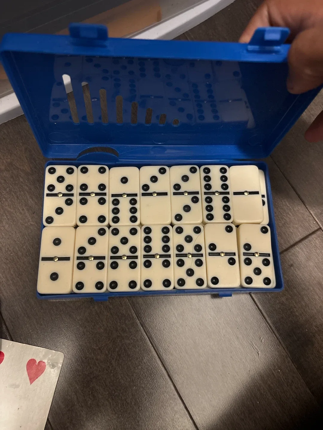 Dominoes 28 Set with Blue Carrying Case