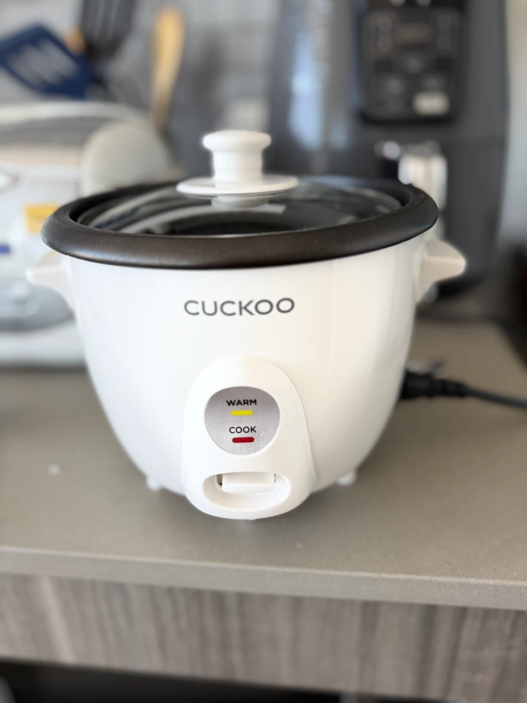 Rice Cooker with Steamer Basket - photo 3