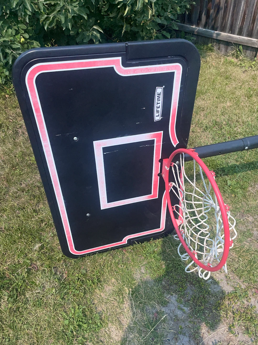 Lifetime Basketball Hoop