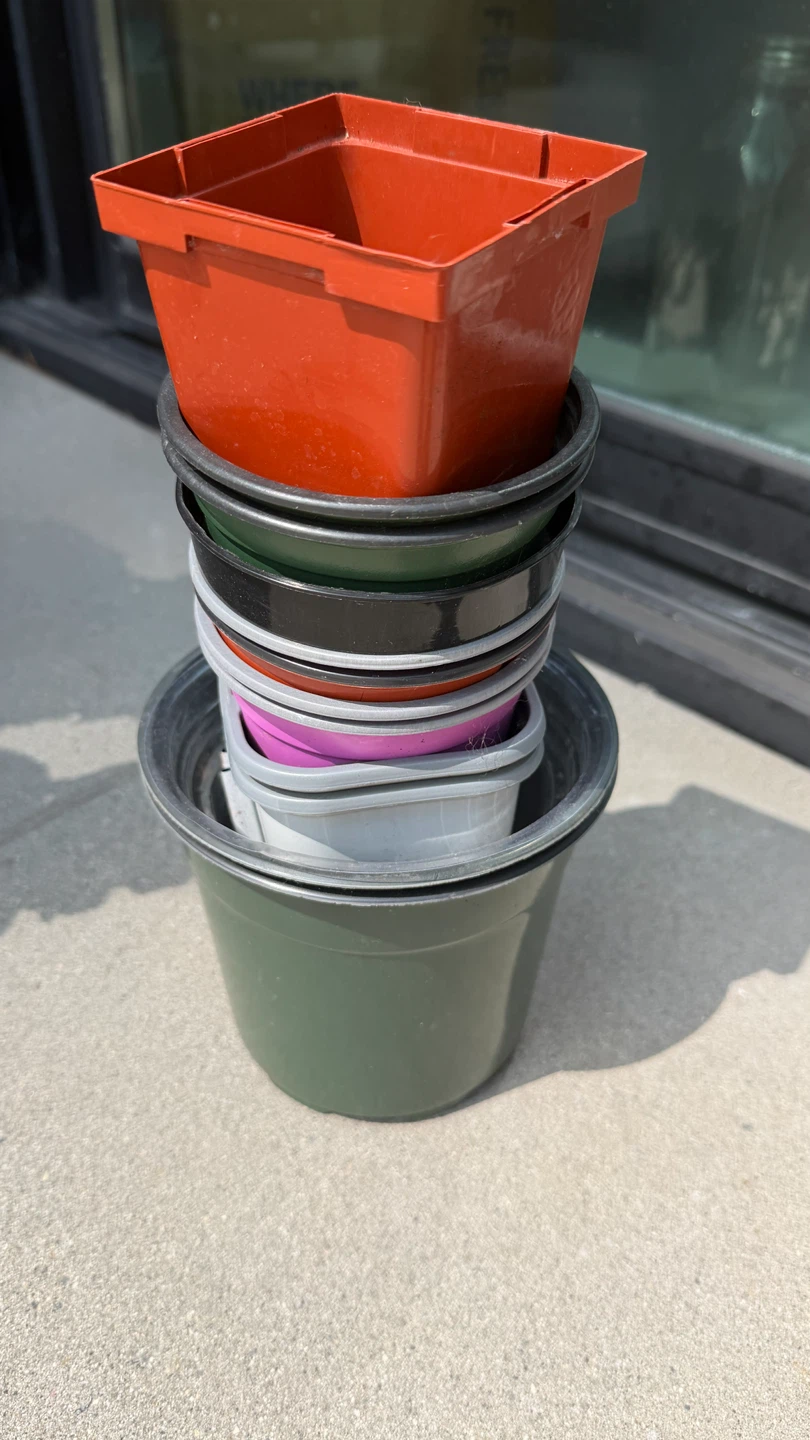 Assorted Plastic Plant Pots