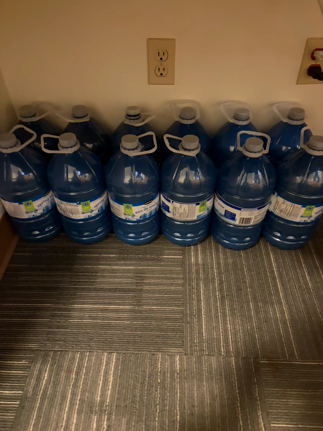 Kirkland Signature Spring Water (12 x 1L)