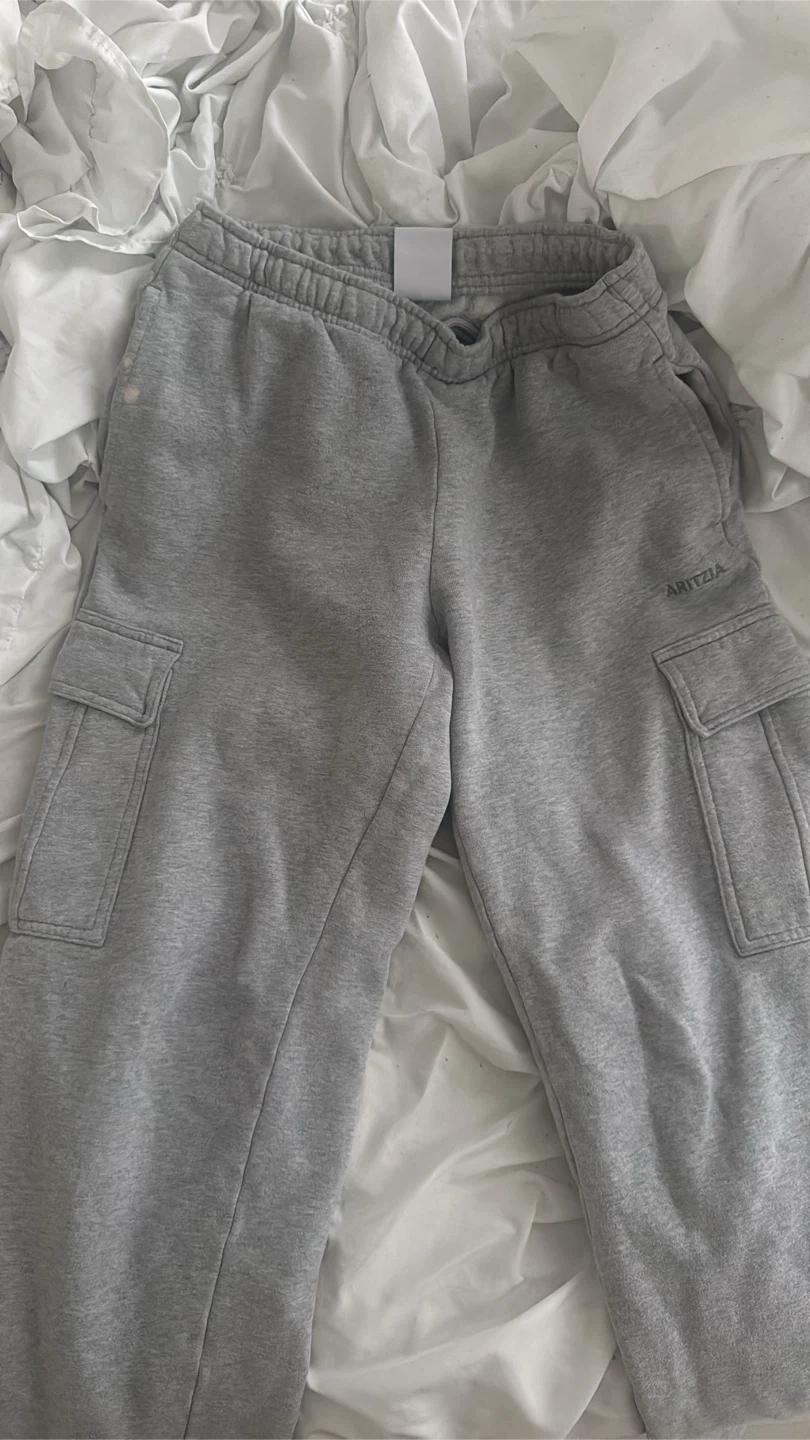ARITZIA Grey Cargo Sweatpants