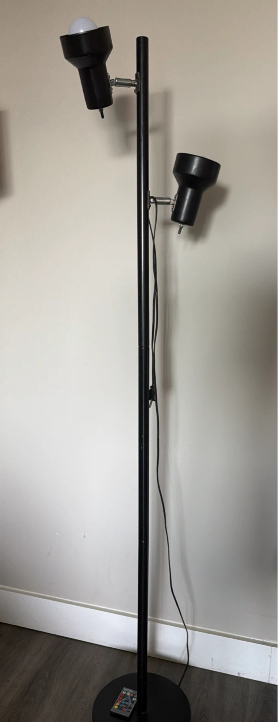 Black Dual Head Floor Lamp with Remote