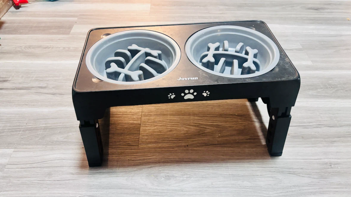 Elevated JOVRUN Slow Feeder Dog Bowl