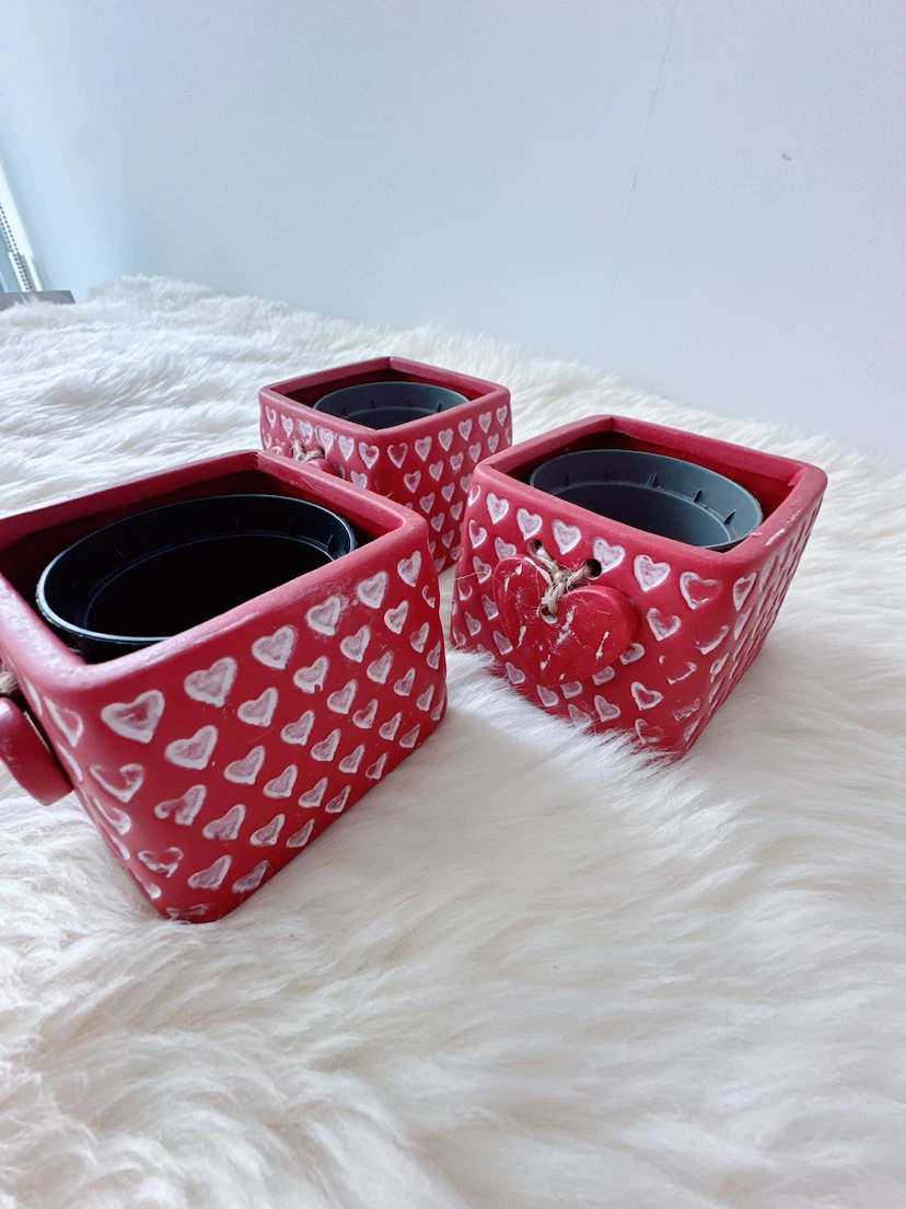 Lot of 3 square succulent planters with inserts - photo 3