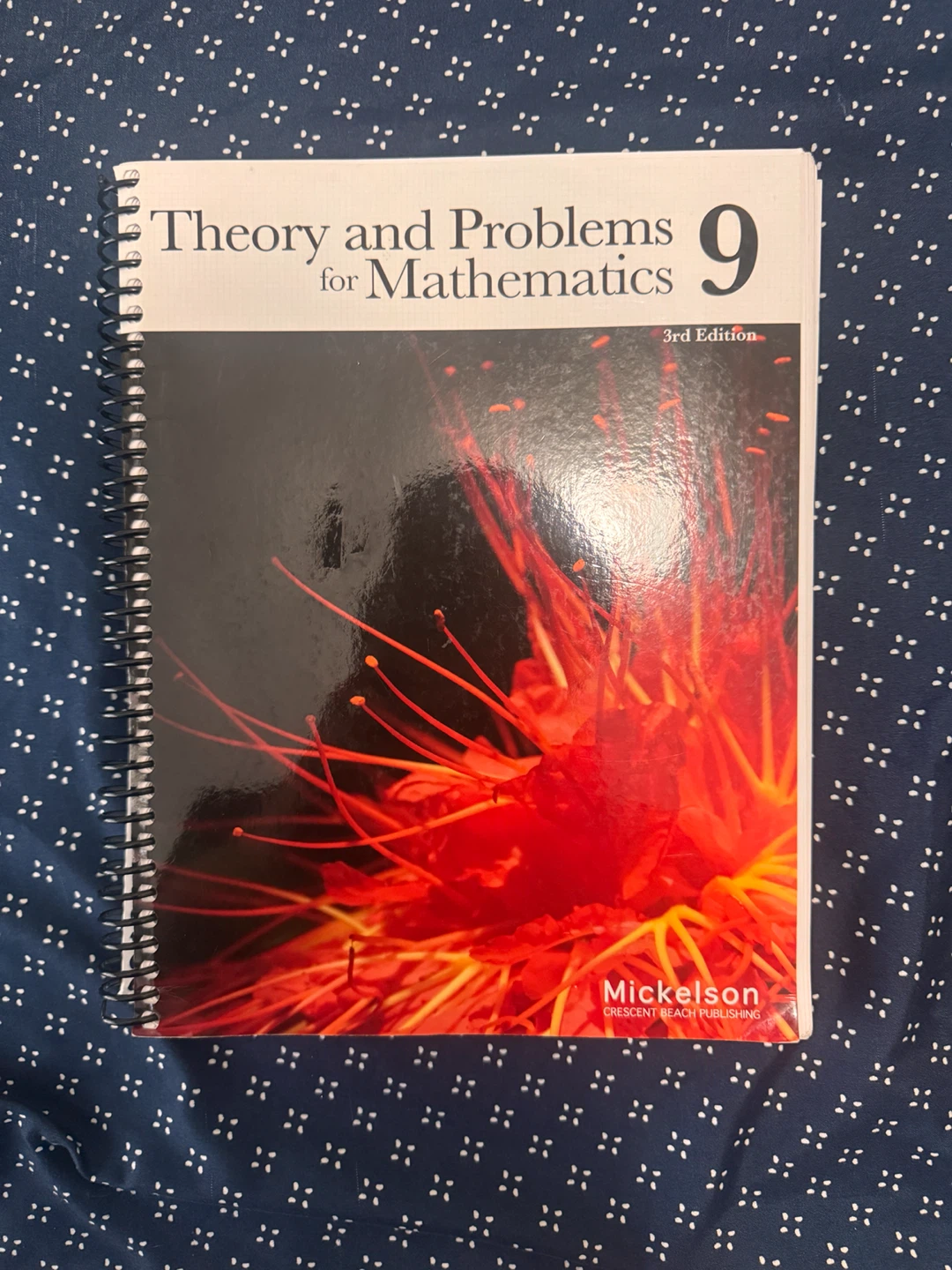 Grade 9 Math Book