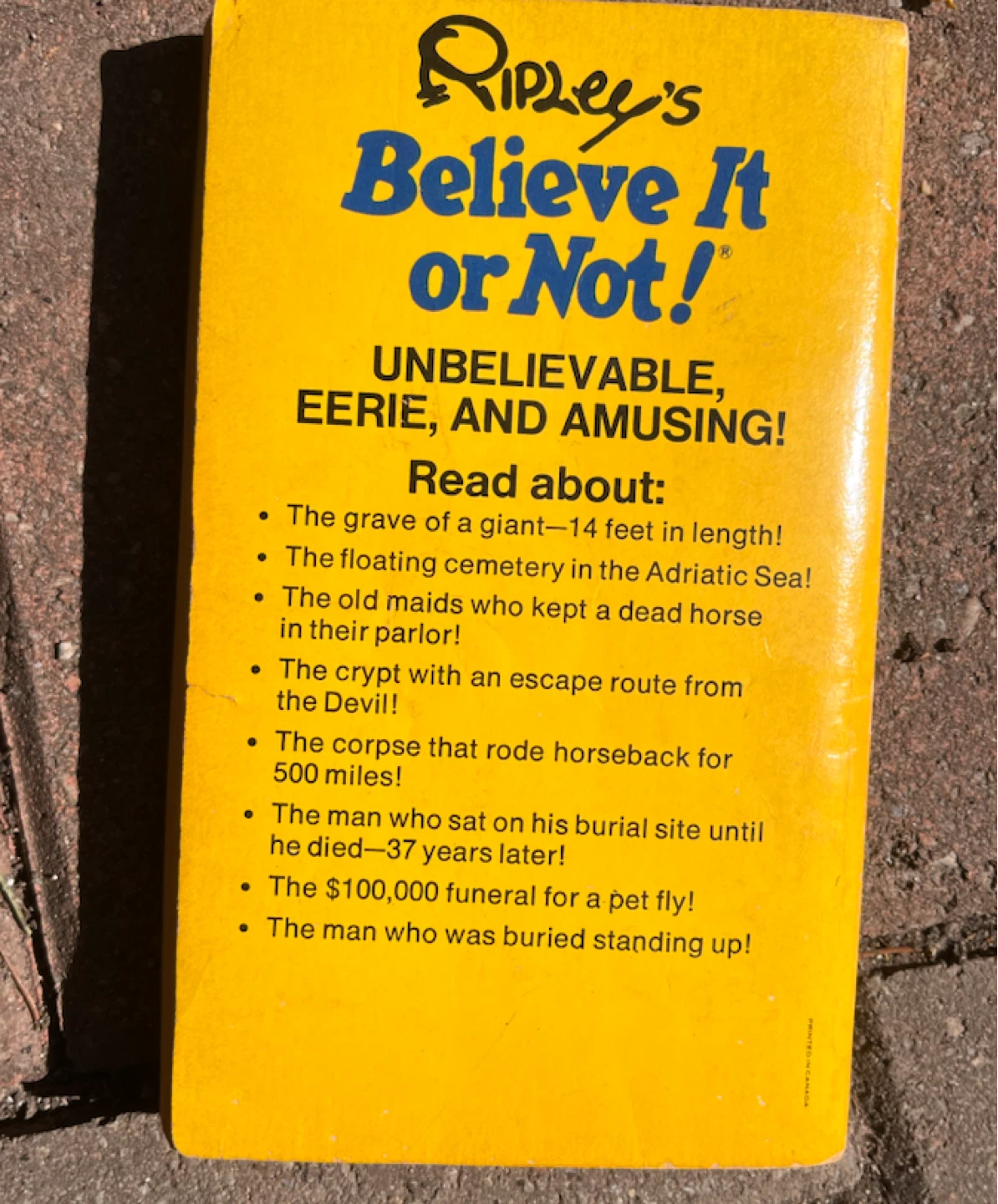 Ripley's Believe It or Not! Tombstones and Graveyards Book - photo 2