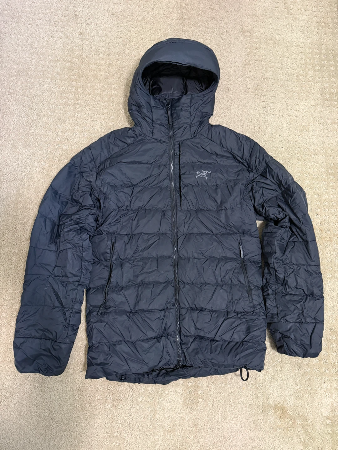 Arc'teryx Hooded Down Jacket