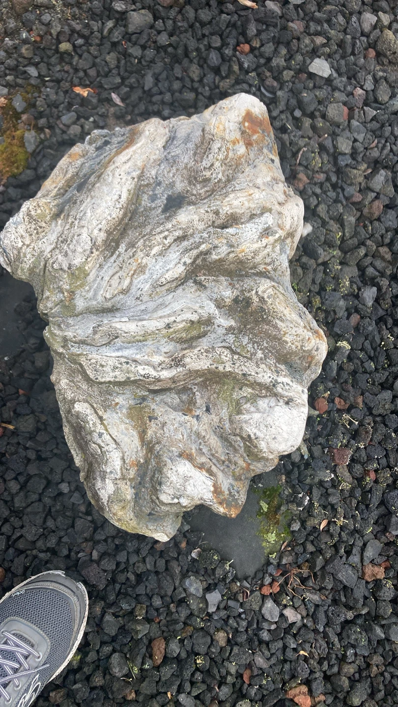 Petrified wood - photo 2