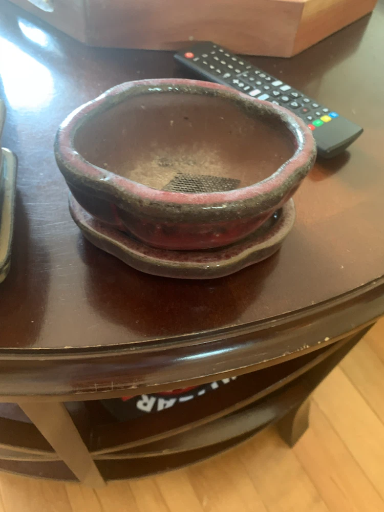 Ceramic Planter Pot with Saucer