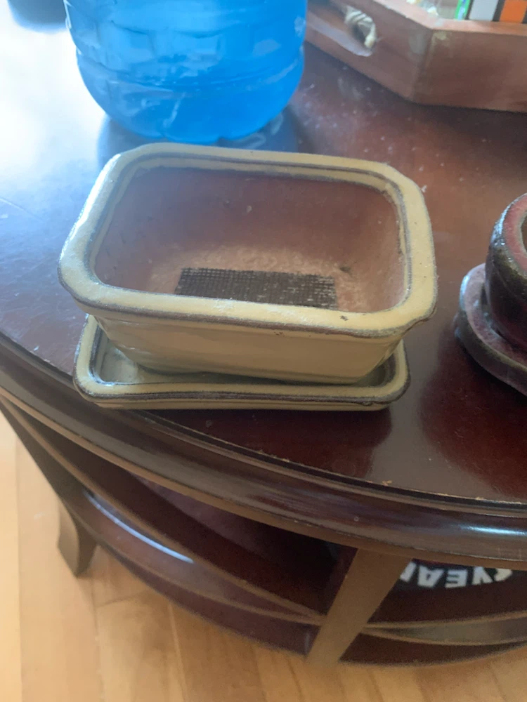 Ceramic Bonsai Pot and Saucer