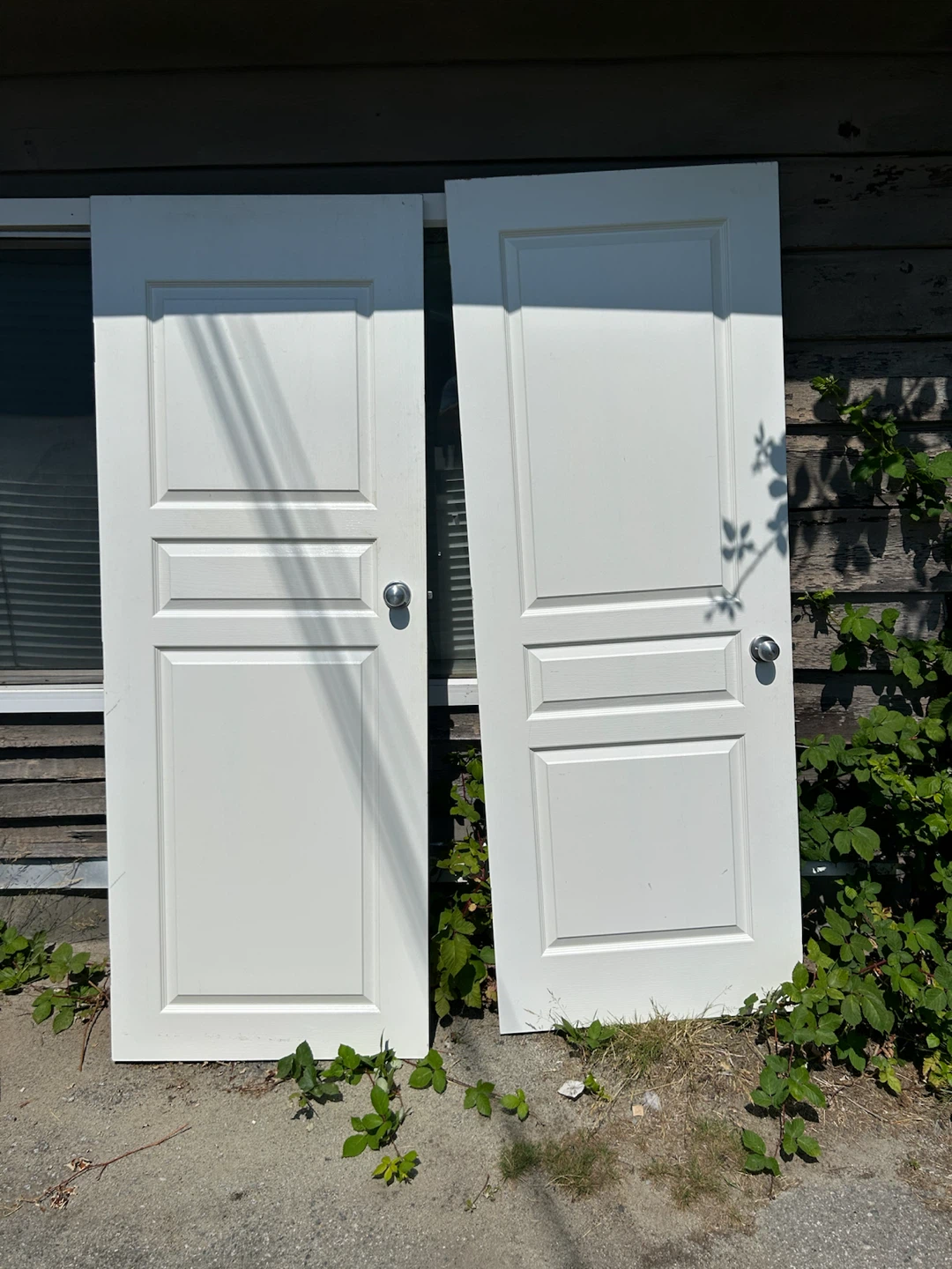 Pair of White Interior Doors