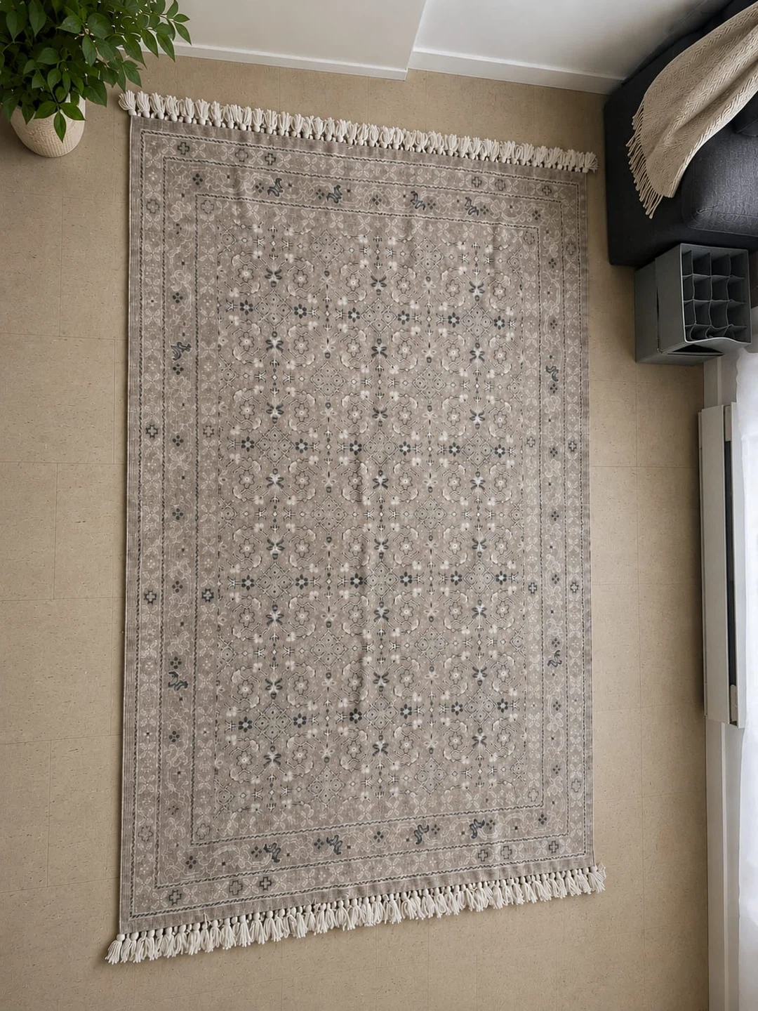 Area Rug